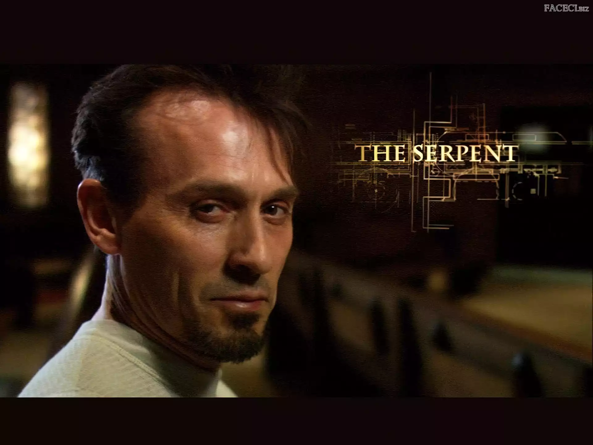Skazany na śmierć, twarz, Prison Break, Robert Knepper
